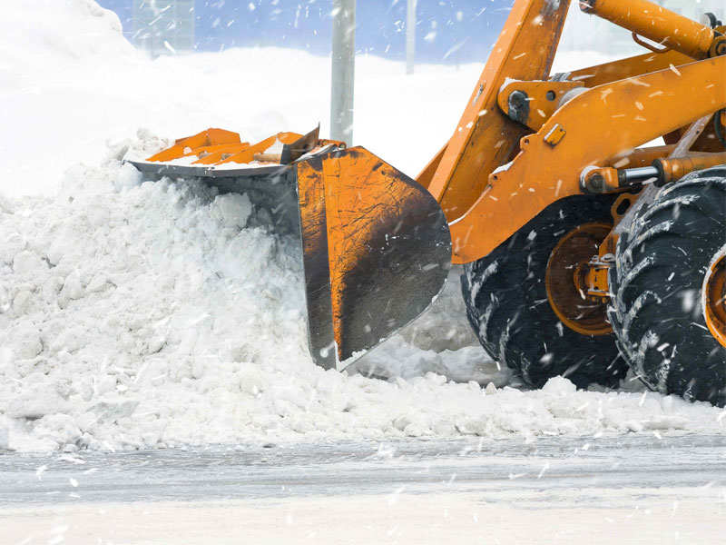 Snow Removal Specialists!
